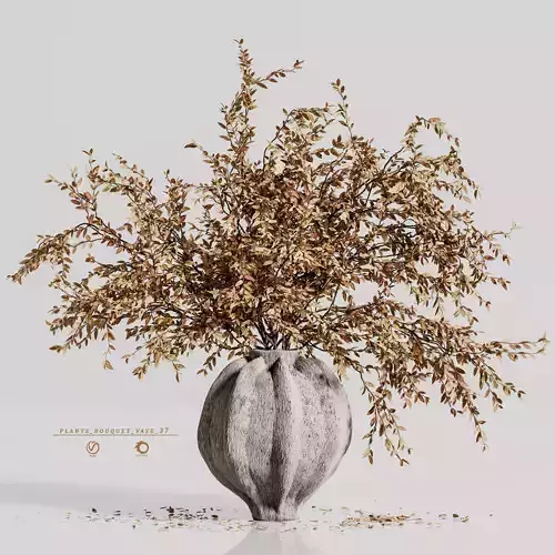 plants bouquet vase 37