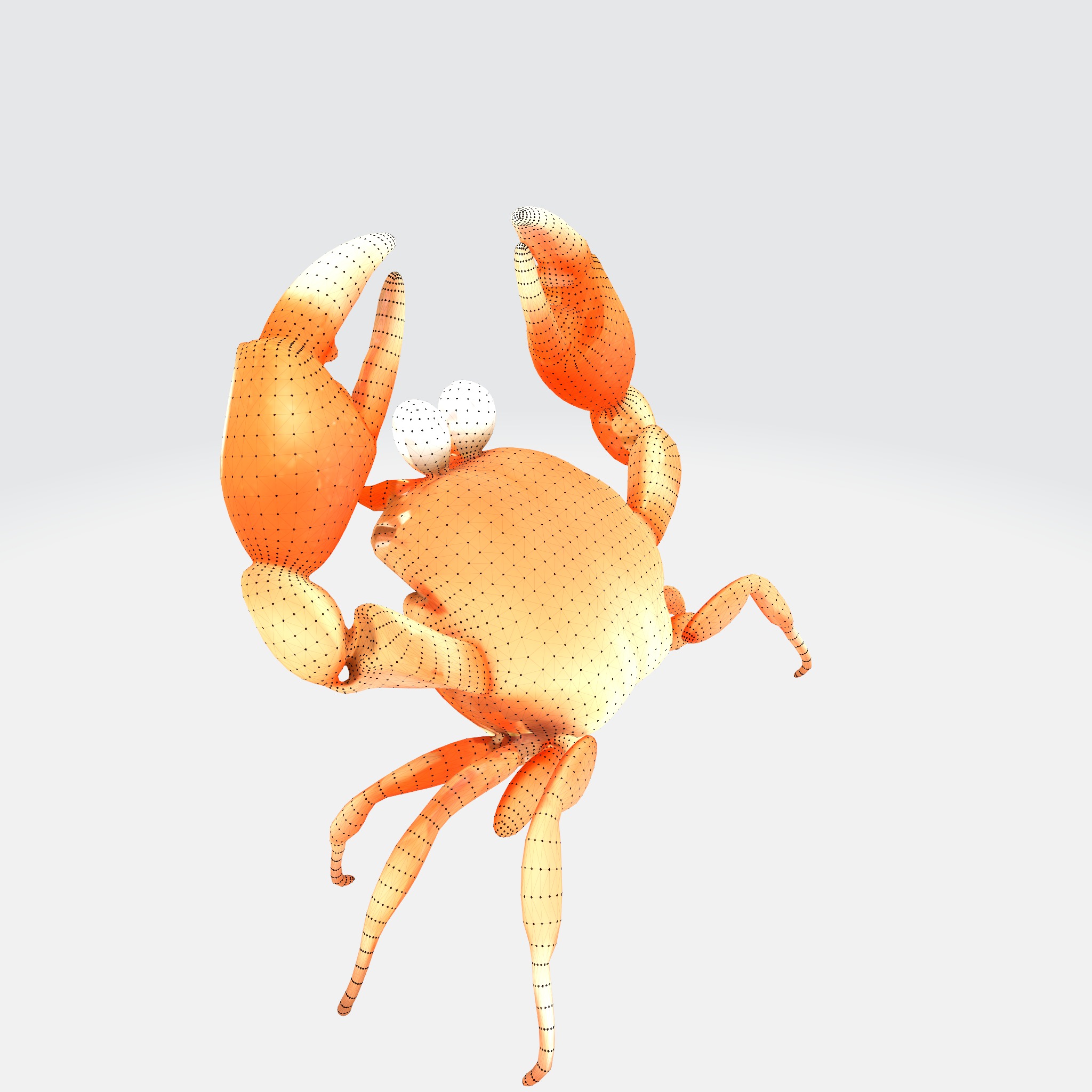 Cartoon Crab 3D model_5