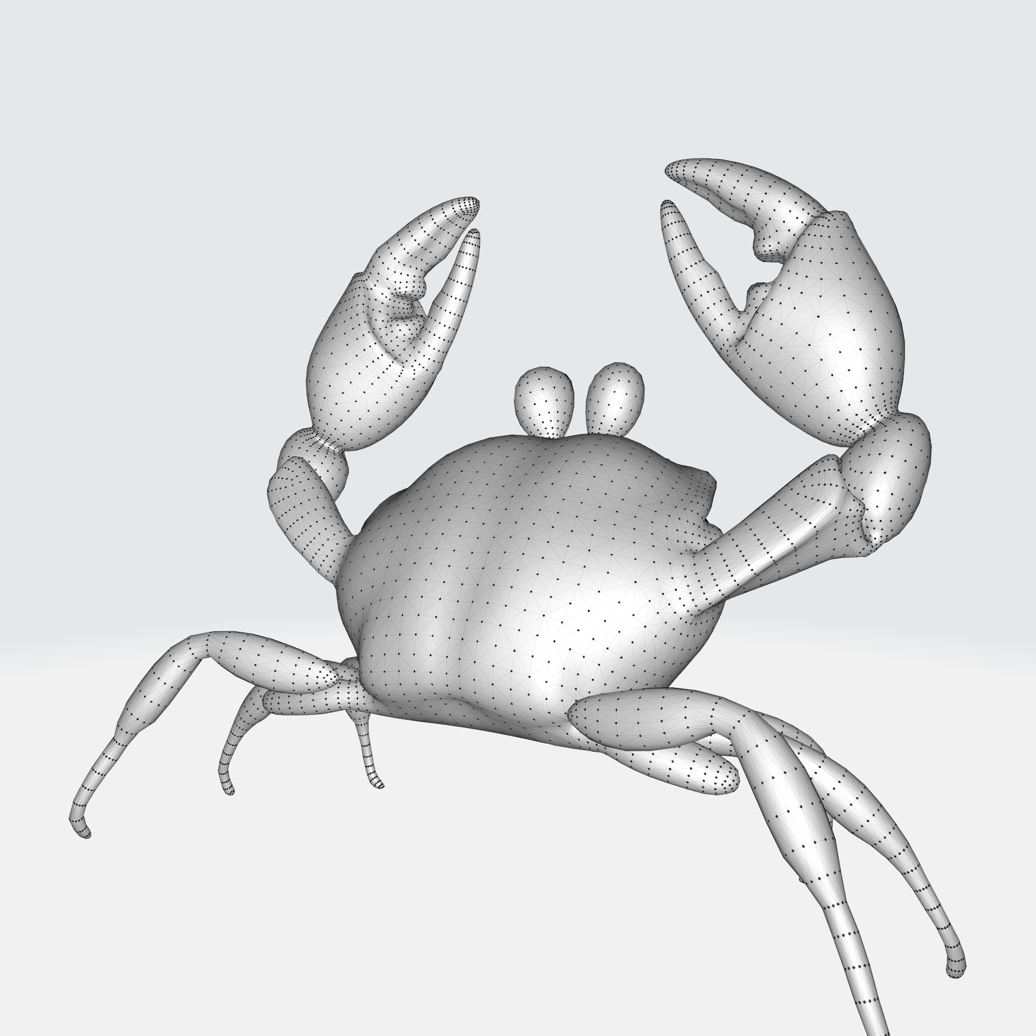 Cartoon Crab 3D model_14
