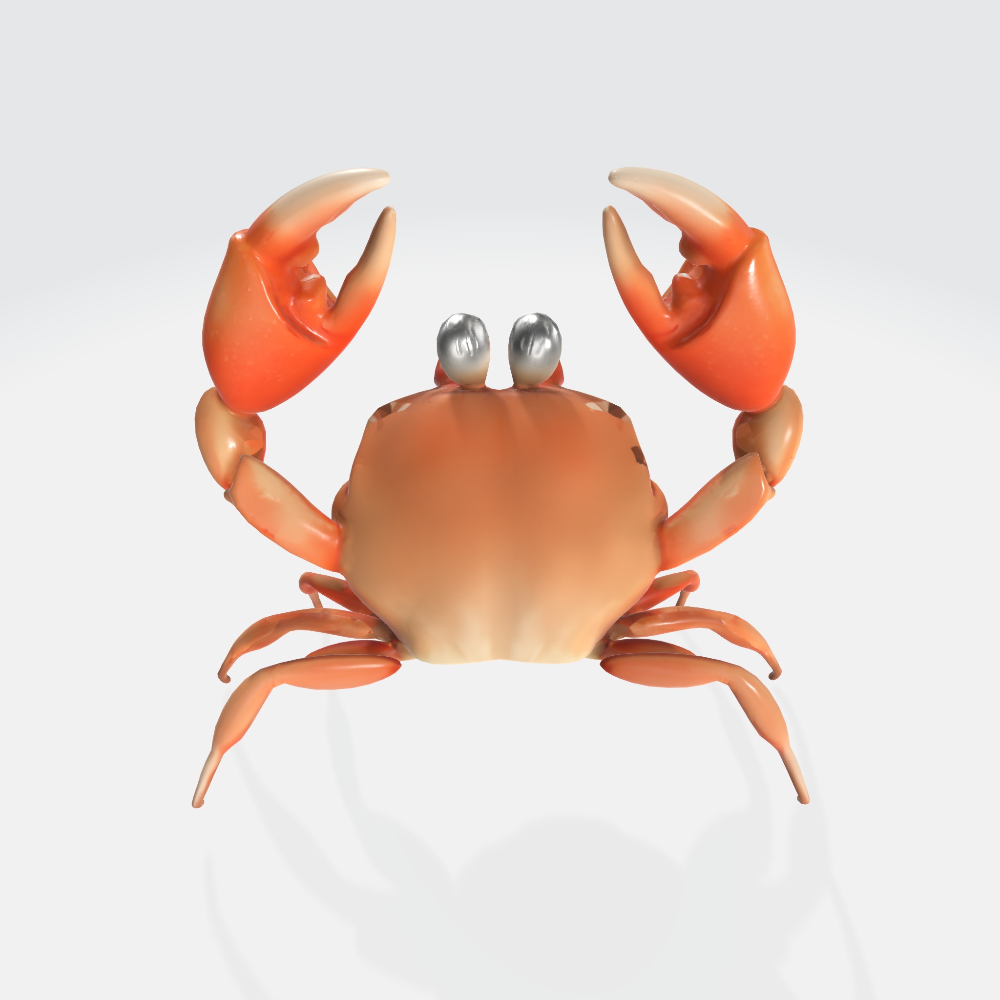 Cartoon Crab 3D model_2