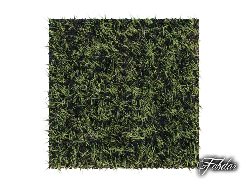 Grass patch 01 3D model_3