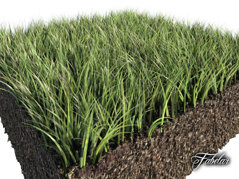 Grass patch 01 3D model_1
