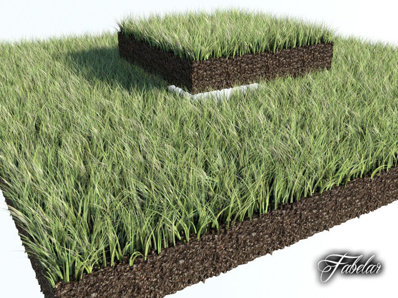 Grass patch 01 3D model_2