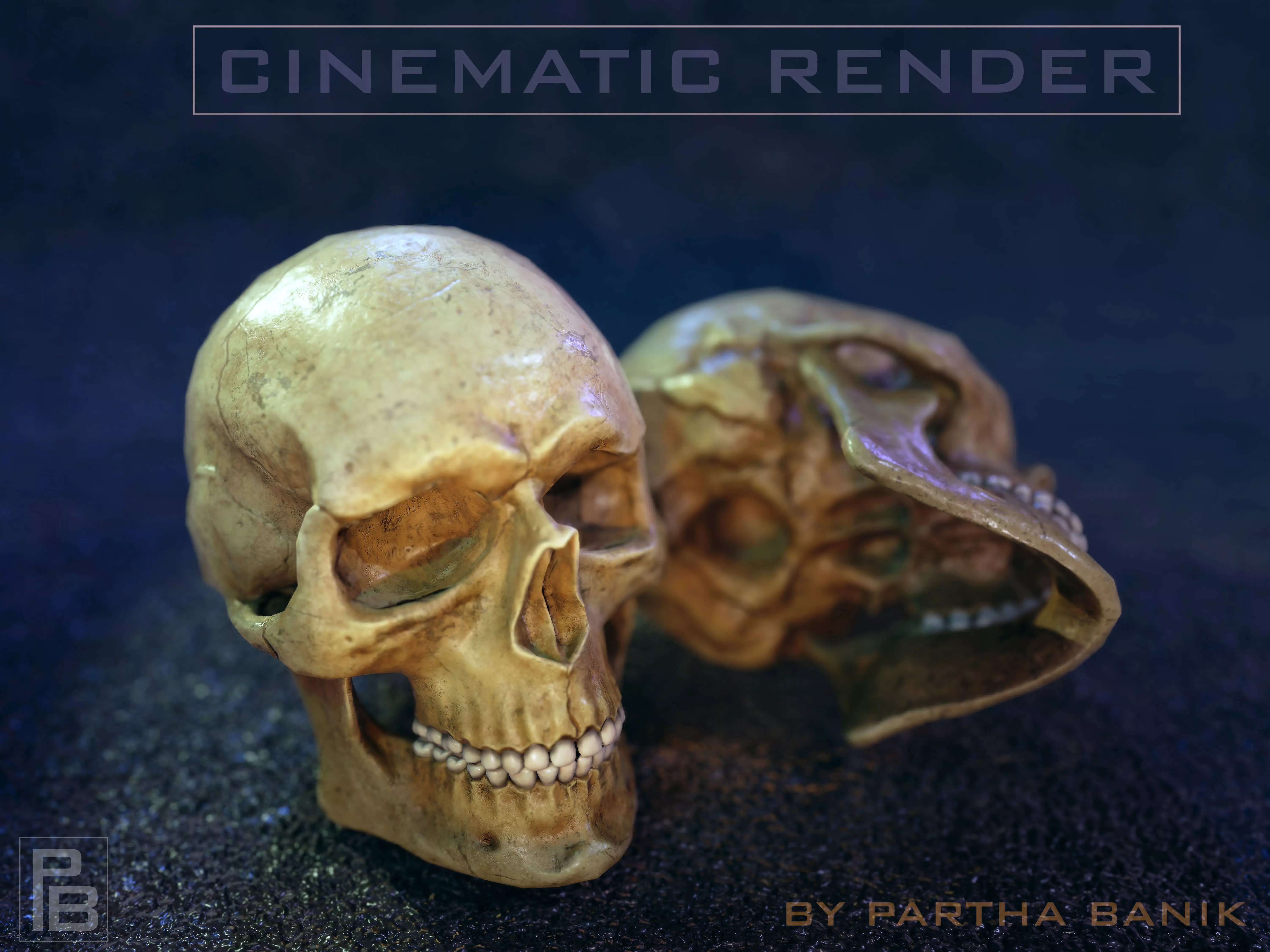 Human Male Skull Anatomy Low-poly 3D model