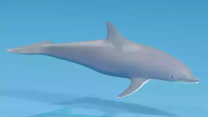 Cartoon Dolphin