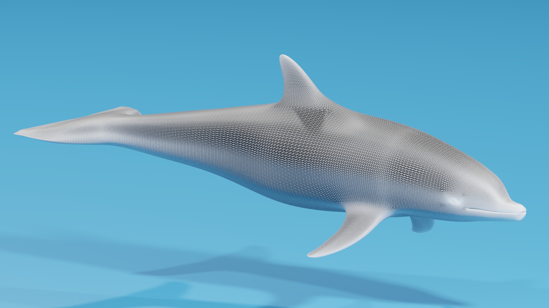 Cartoon Dolphin 3D model_5