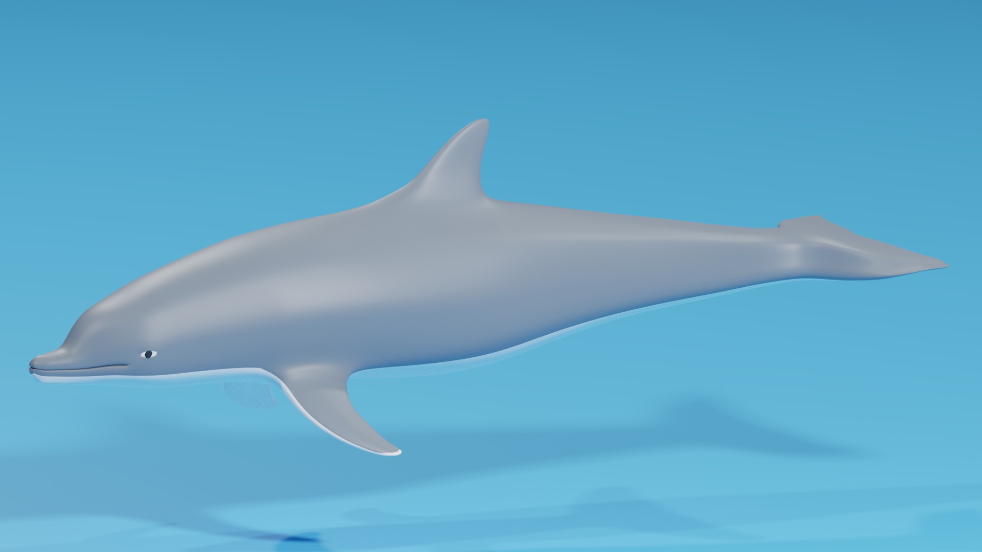 Cartoon Dolphin 3D model_1