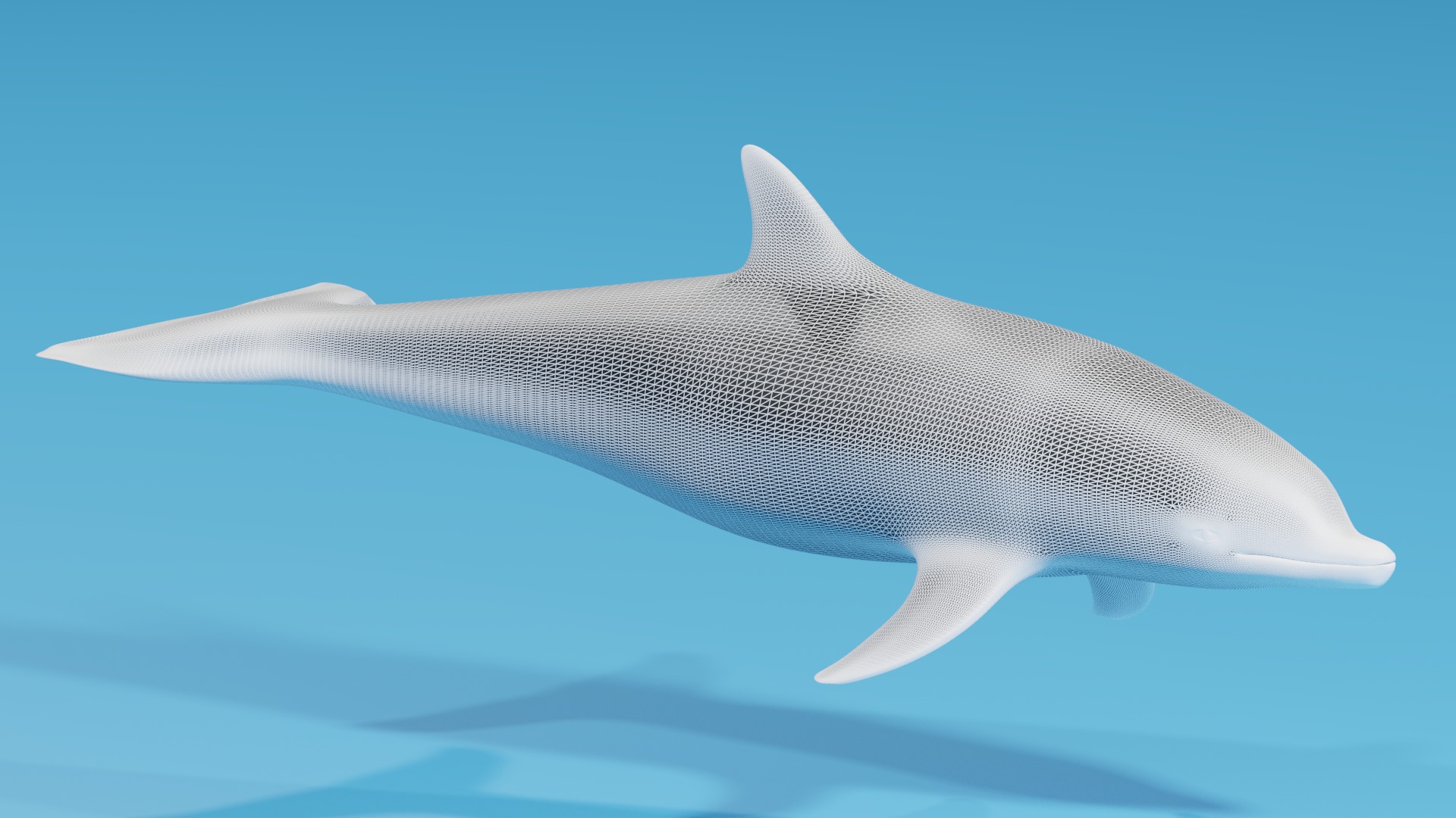 Cartoon Dolphin 3D model_6