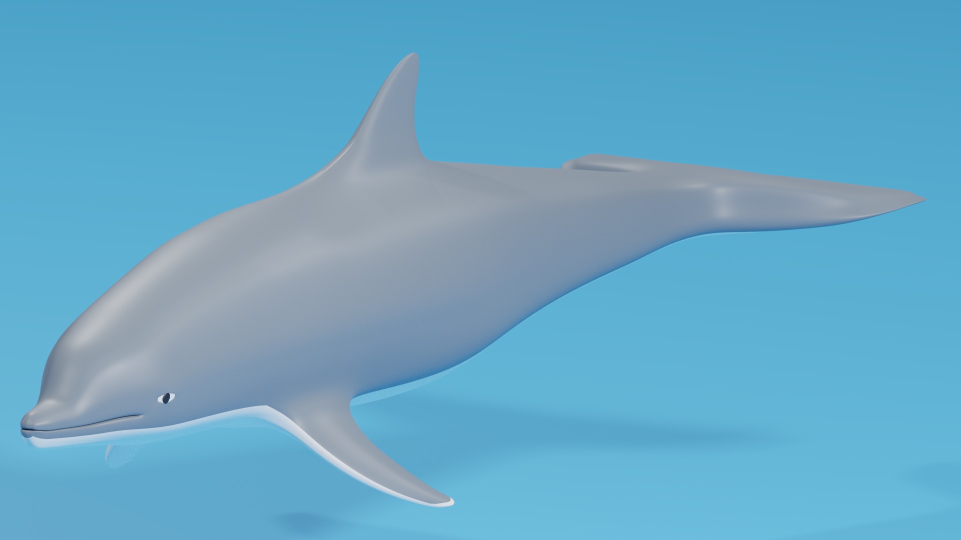 Cartoon Dolphin 3D model_3