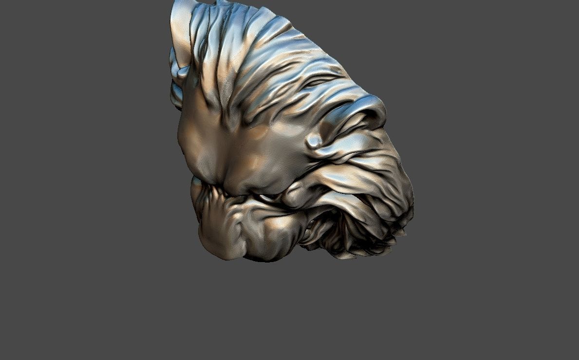 LION HEAD BAS-RELIEF MODEL FOR CNC 3D print model_6