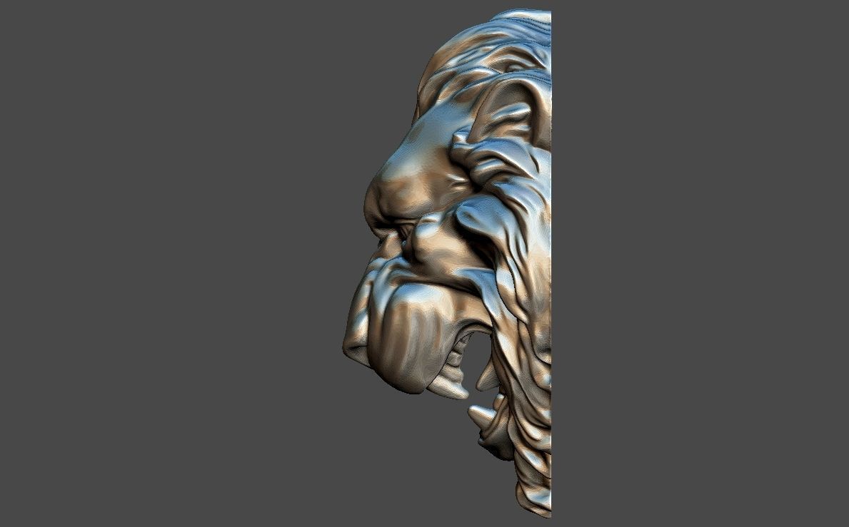 LION HEAD BAS-RELIEF MODEL FOR CNC 3D print model_5