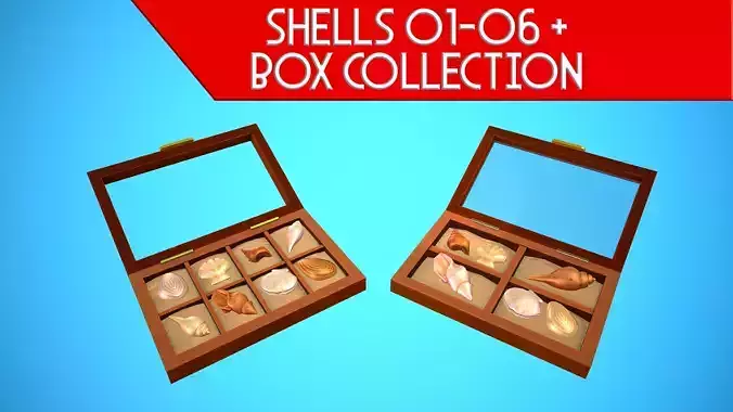 SHELL 01-06 BOX 01-02 PACK CARTOON STYLIZED Low-poly 3D model