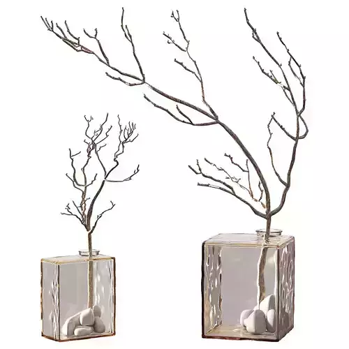 Bouquet of dried branches Glass square vase with a branch