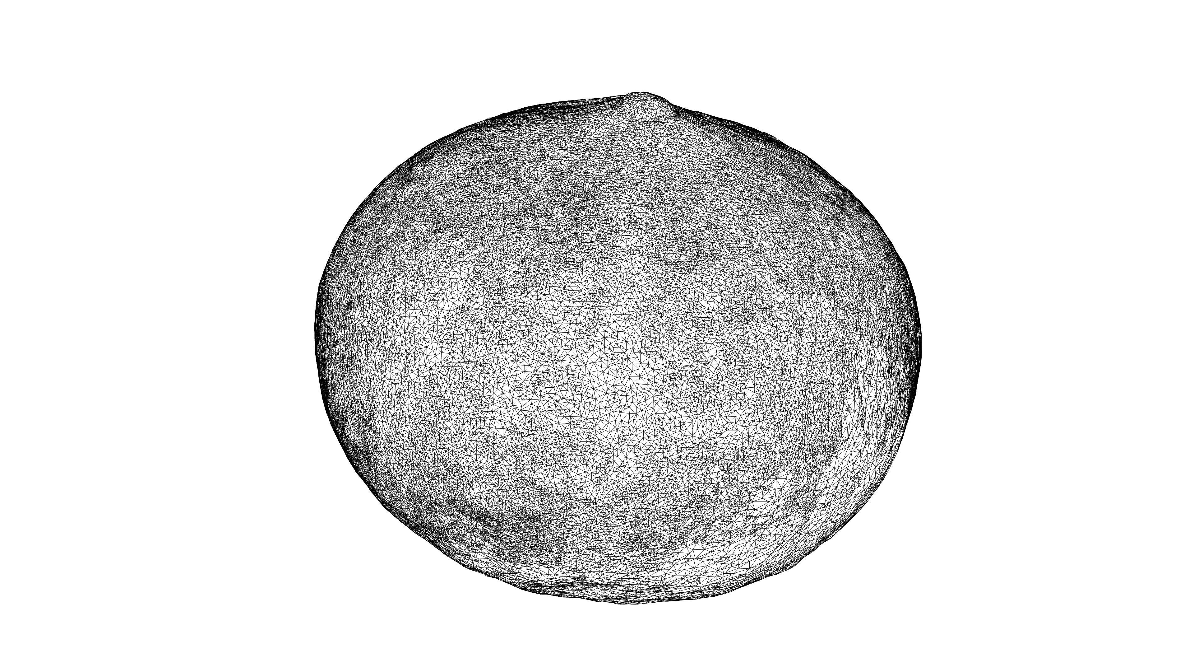 Photorealistic 3D scan of pumpkin Low-poly 3D model_22