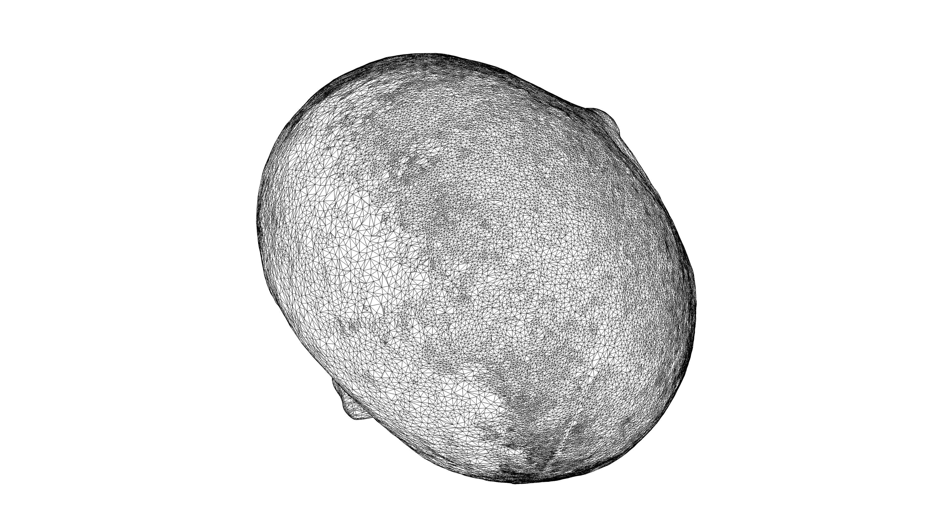 Photorealistic 3D scan of pumpkin Low-poly 3D model_26