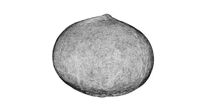 Photorealistic 3D scan of pumpkin Low-poly 3D model 5