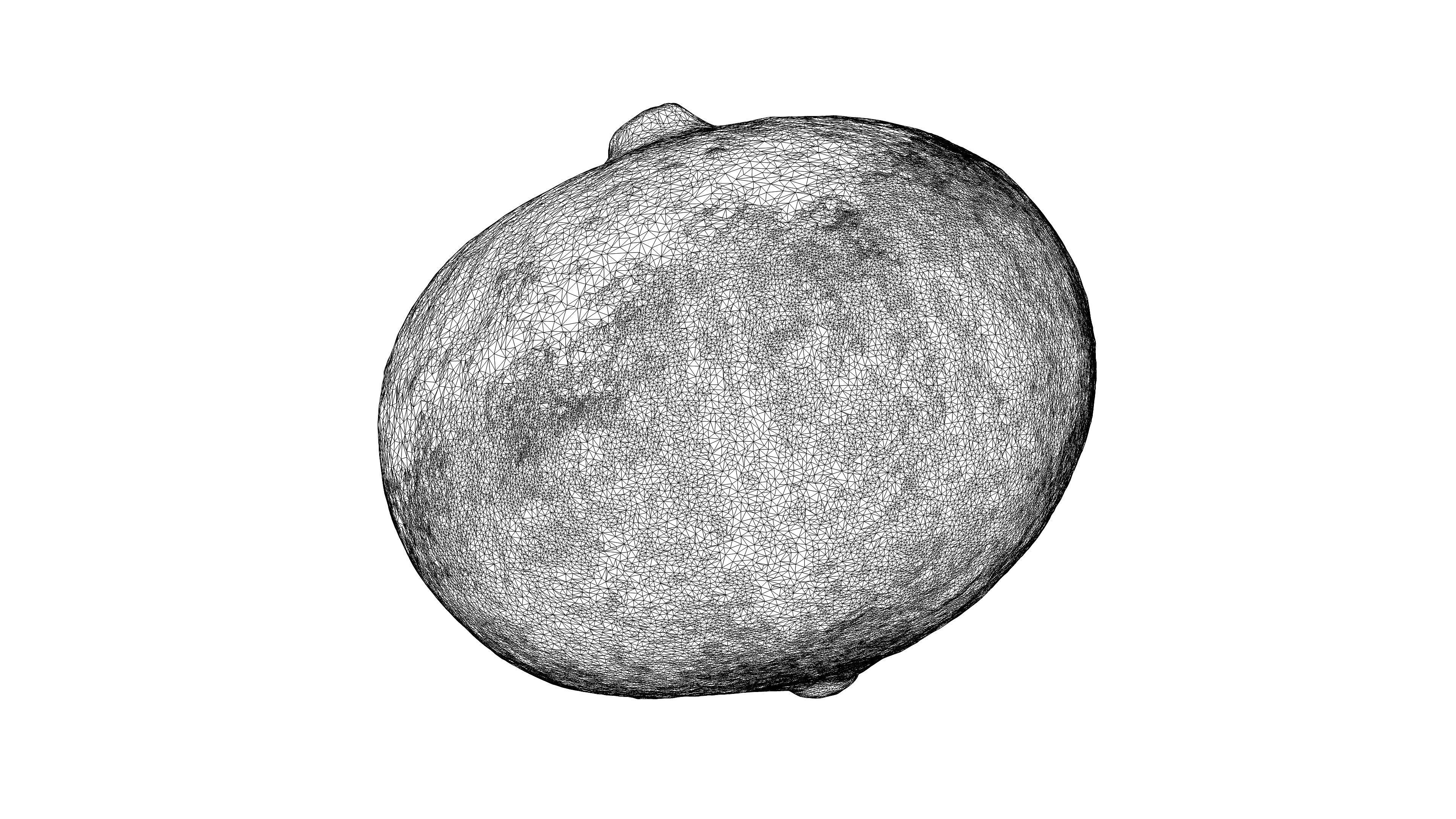 Photorealistic 3D scan of pumpkin Low-poly 3D model_25