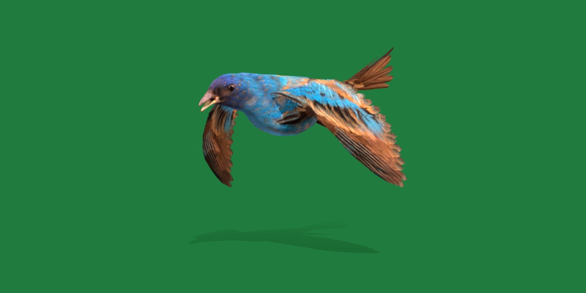 Indigo Bunting Blue Bird Low-poly 3D model_36