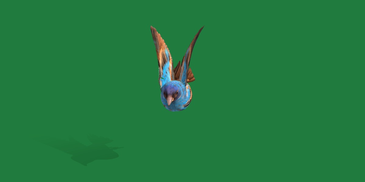 Indigo Bunting Blue Bird Low-poly 3D model_39