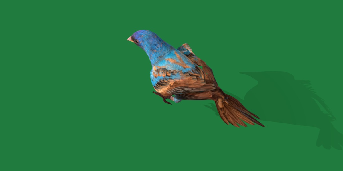 Indigo Bunting Blue Bird Low-poly 3D model_14