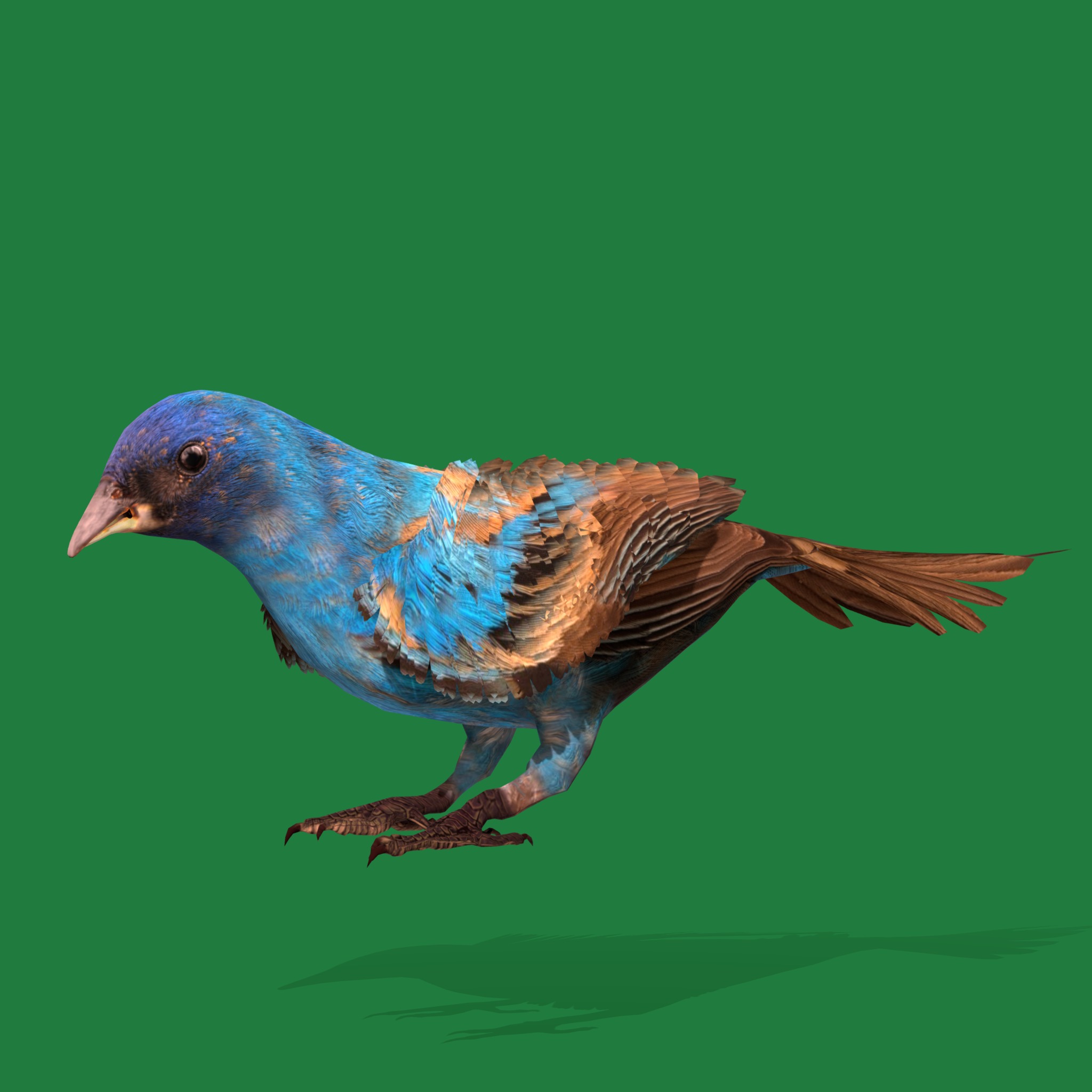 Indigo Bunting Blue Bird Low-poly 3D model_35
