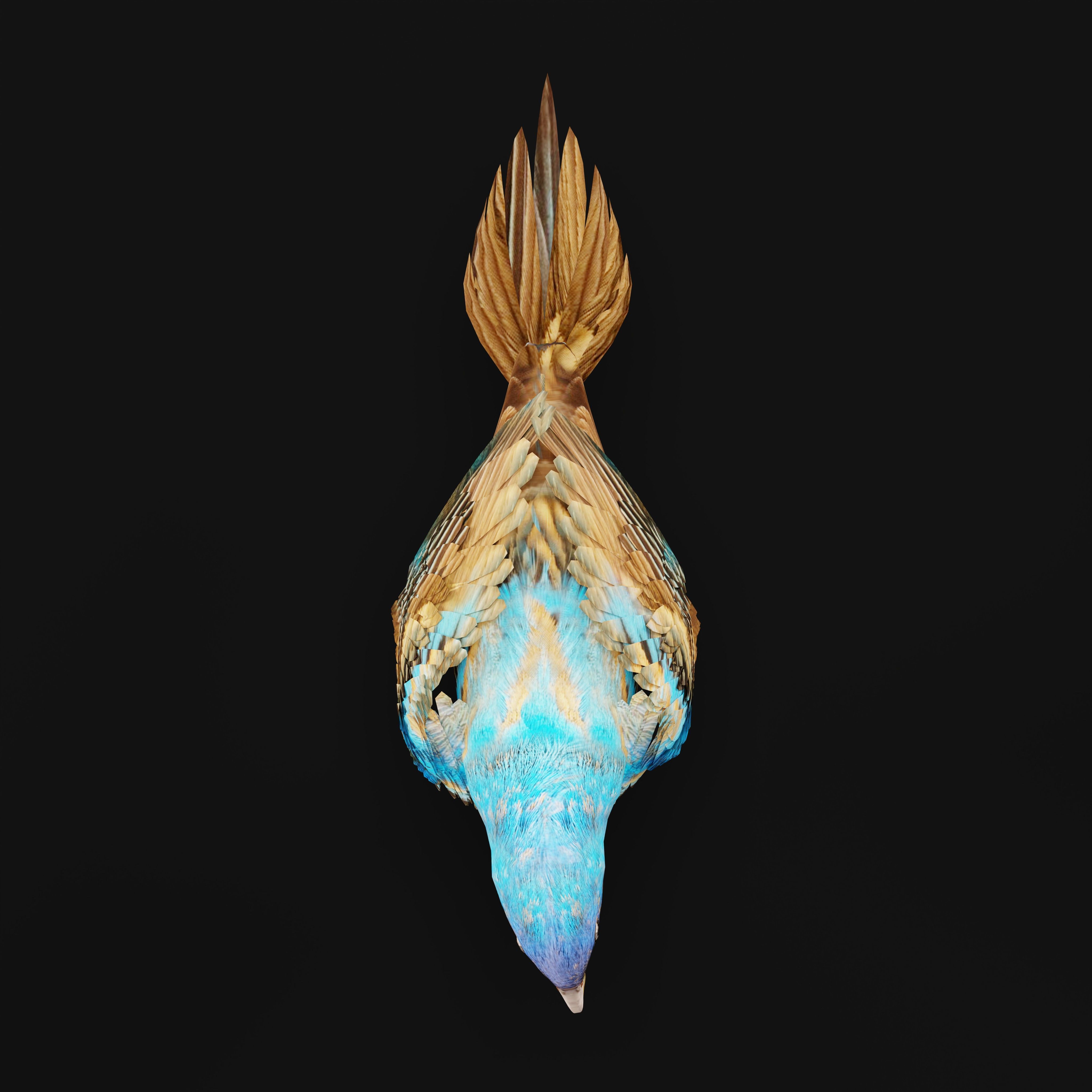 Indigo Bunting Blue Bird Low-poly 3D model_11