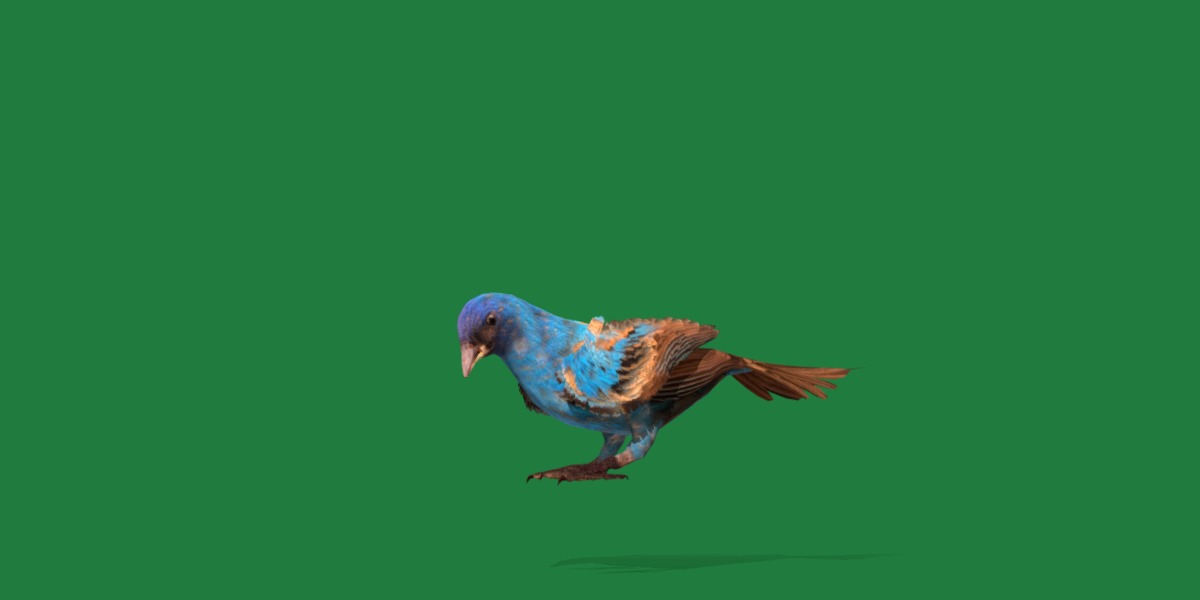 Indigo Bunting Blue Bird Low-poly 3D model_34