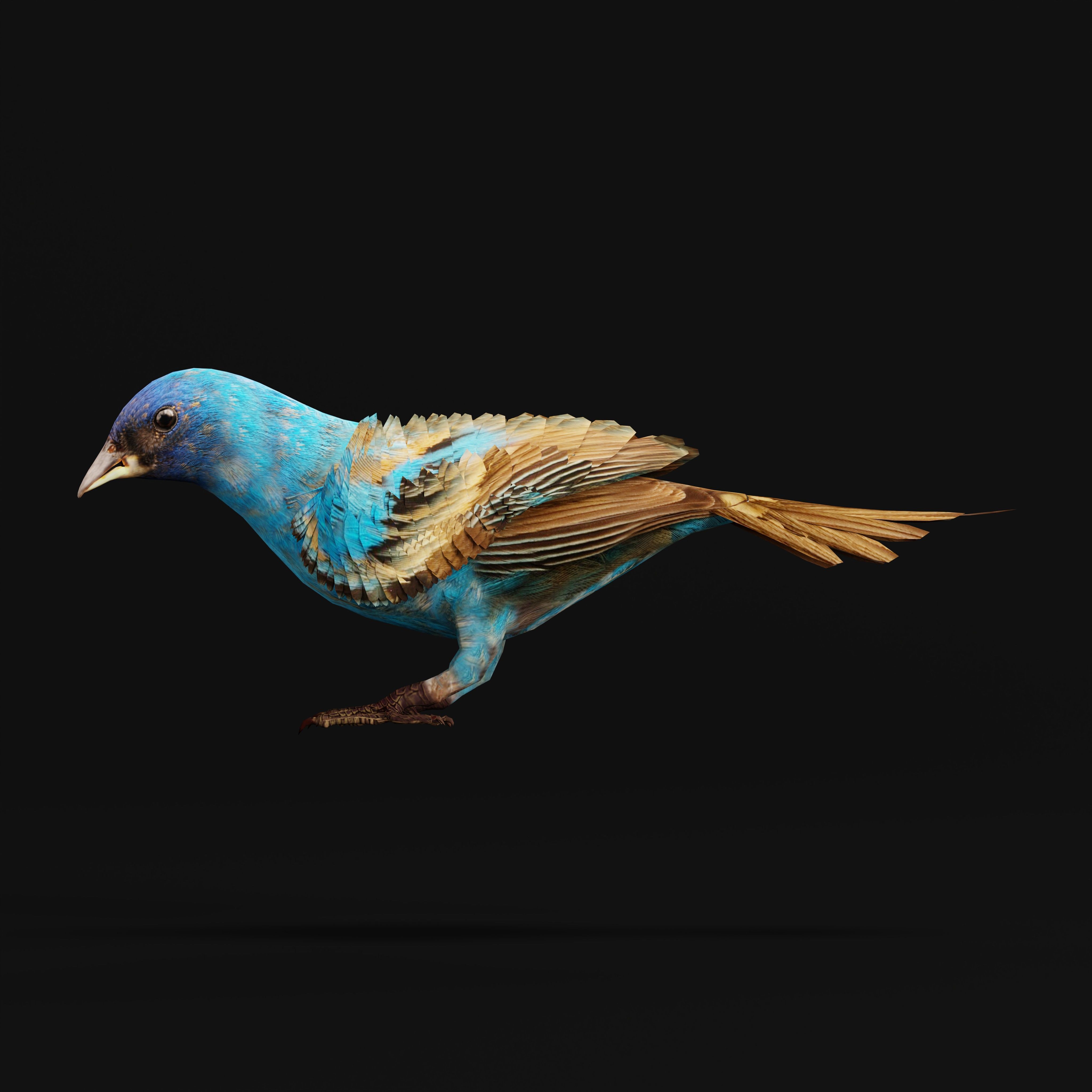 Indigo Bunting Blue Bird Low-poly 3D model_10