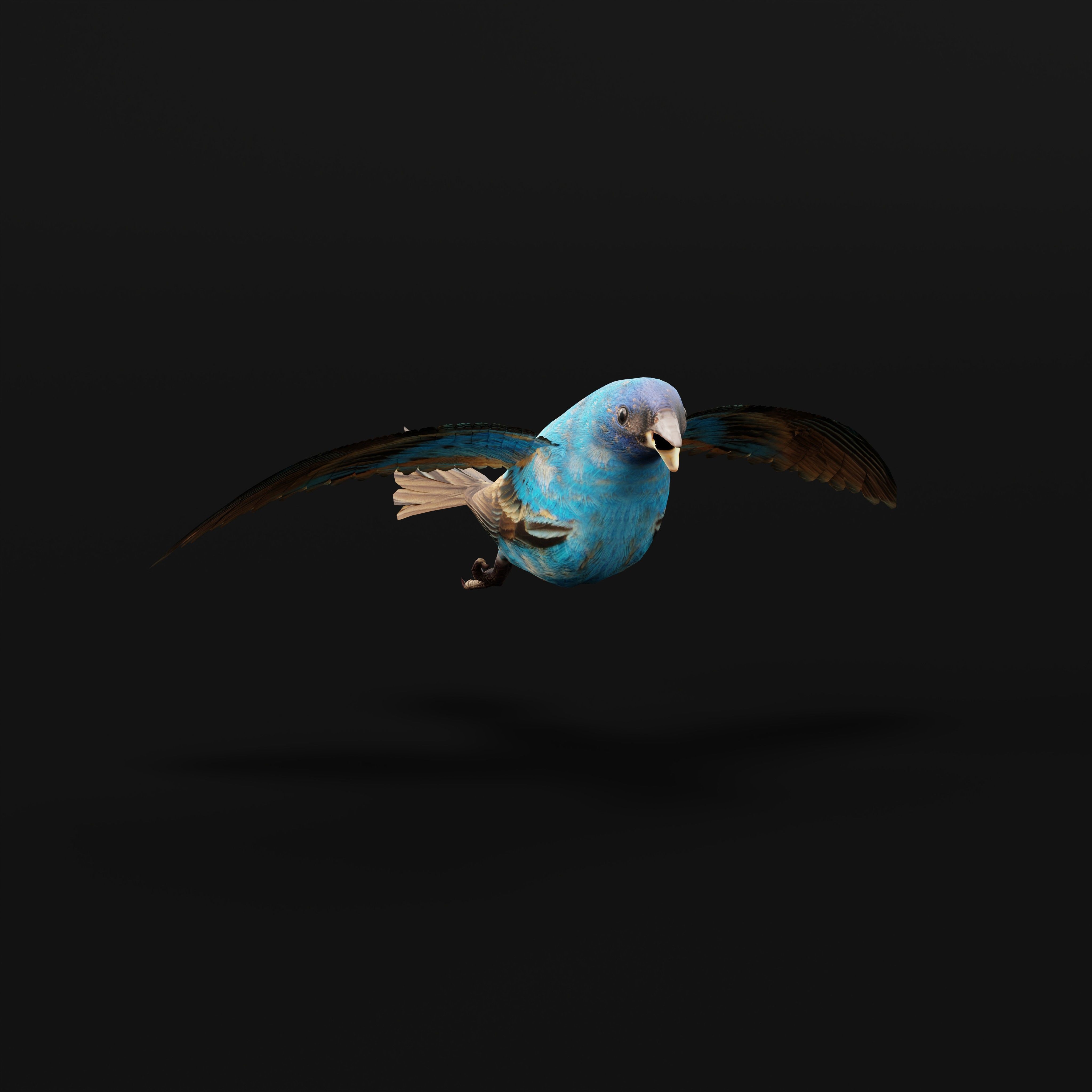 Indigo Bunting Blue Bird Low-poly 3D model_5