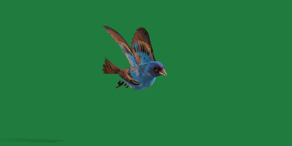Indigo Bunting Blue Bird Low-poly 3D model_40