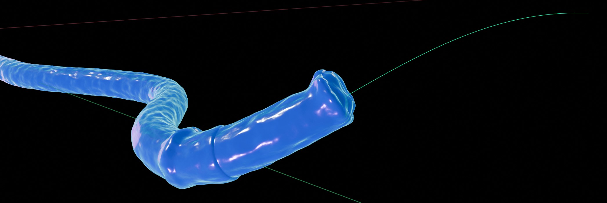 Horse cock tentacle - slime Low-poly 3D model_7