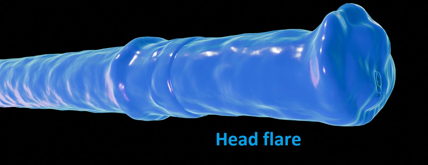 Horse cock tentacle - slime Low-poly 3D model_2