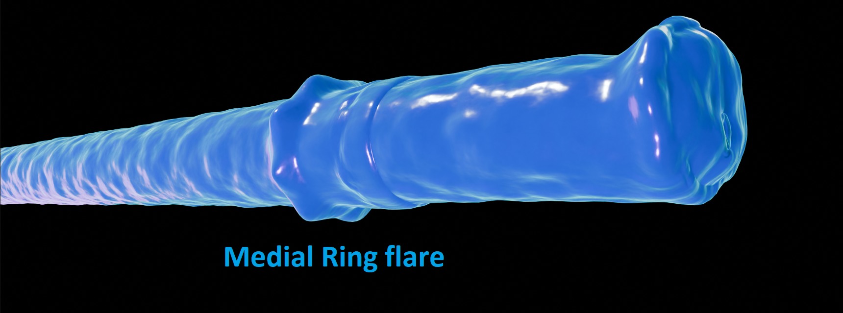 Horse cock tentacle - slime Low-poly 3D model_3