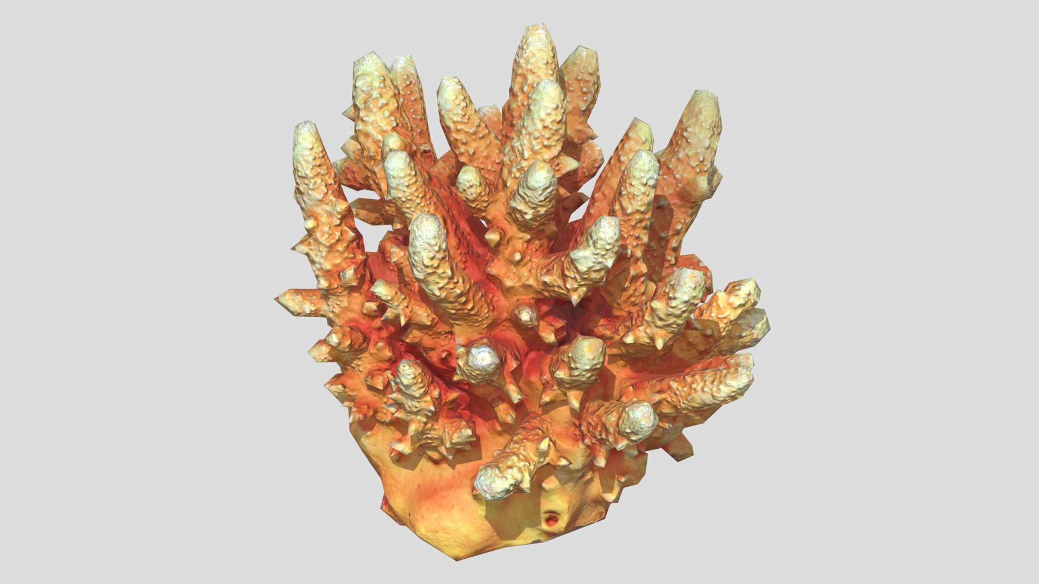 Acropora Coral Low Poly Low-poly 3D model_11