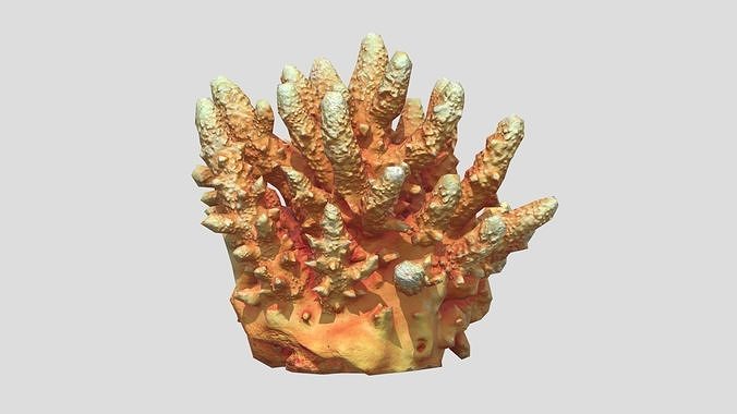 Acropora Coral Low Poly Low-poly 3D model