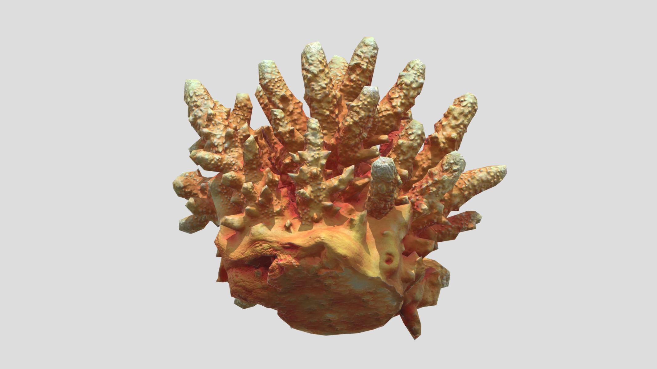 Acropora Coral Low Poly Low-poly 3D model_2