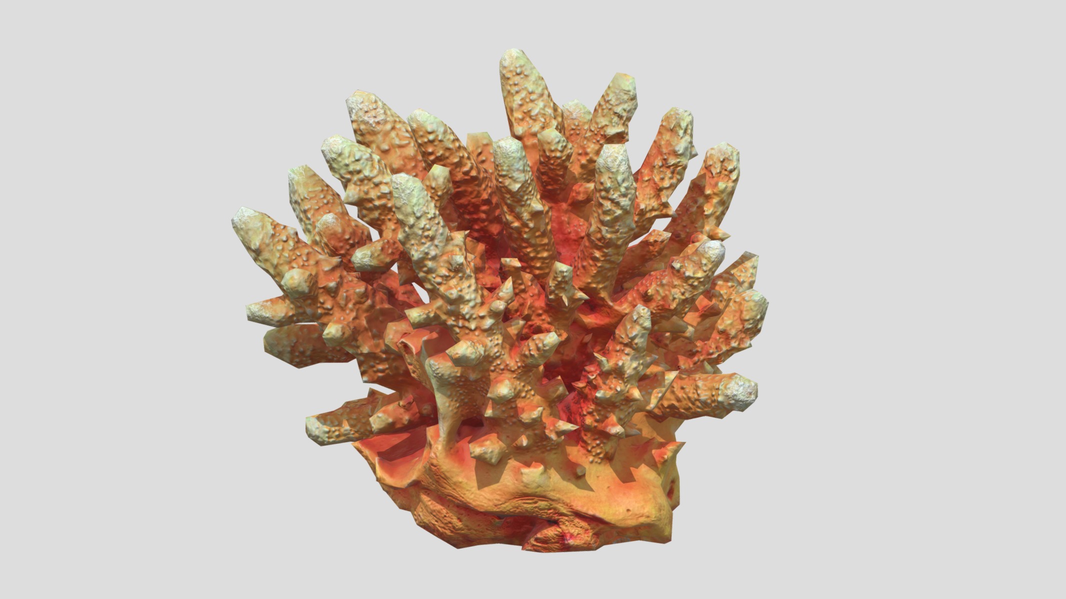 Acropora Coral Low Poly Low-poly 3D model_5
