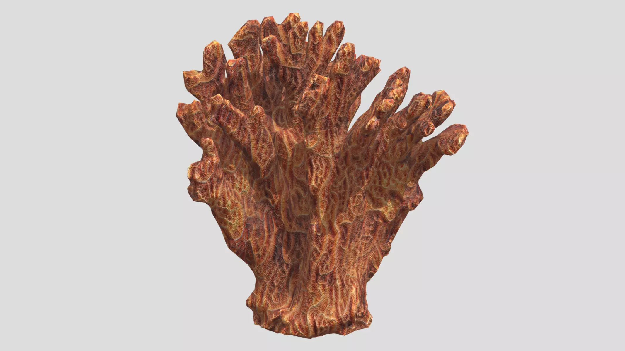 Agaricia agaricites Low Poly Low-poly 3D model_0