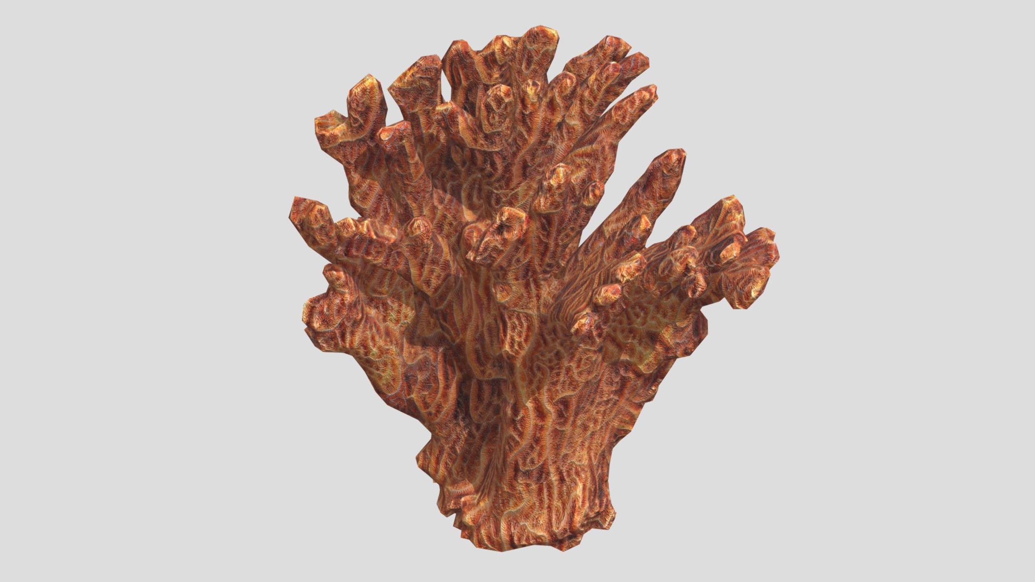 Agaricia agaricites Low Poly Low-poly 3D model_4