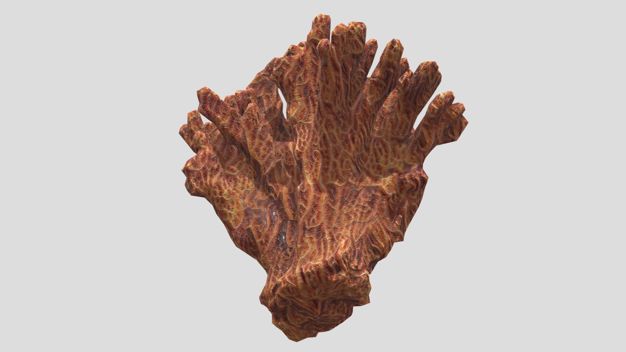 Agaricia agaricites Low Poly Low-poly 3D model_11