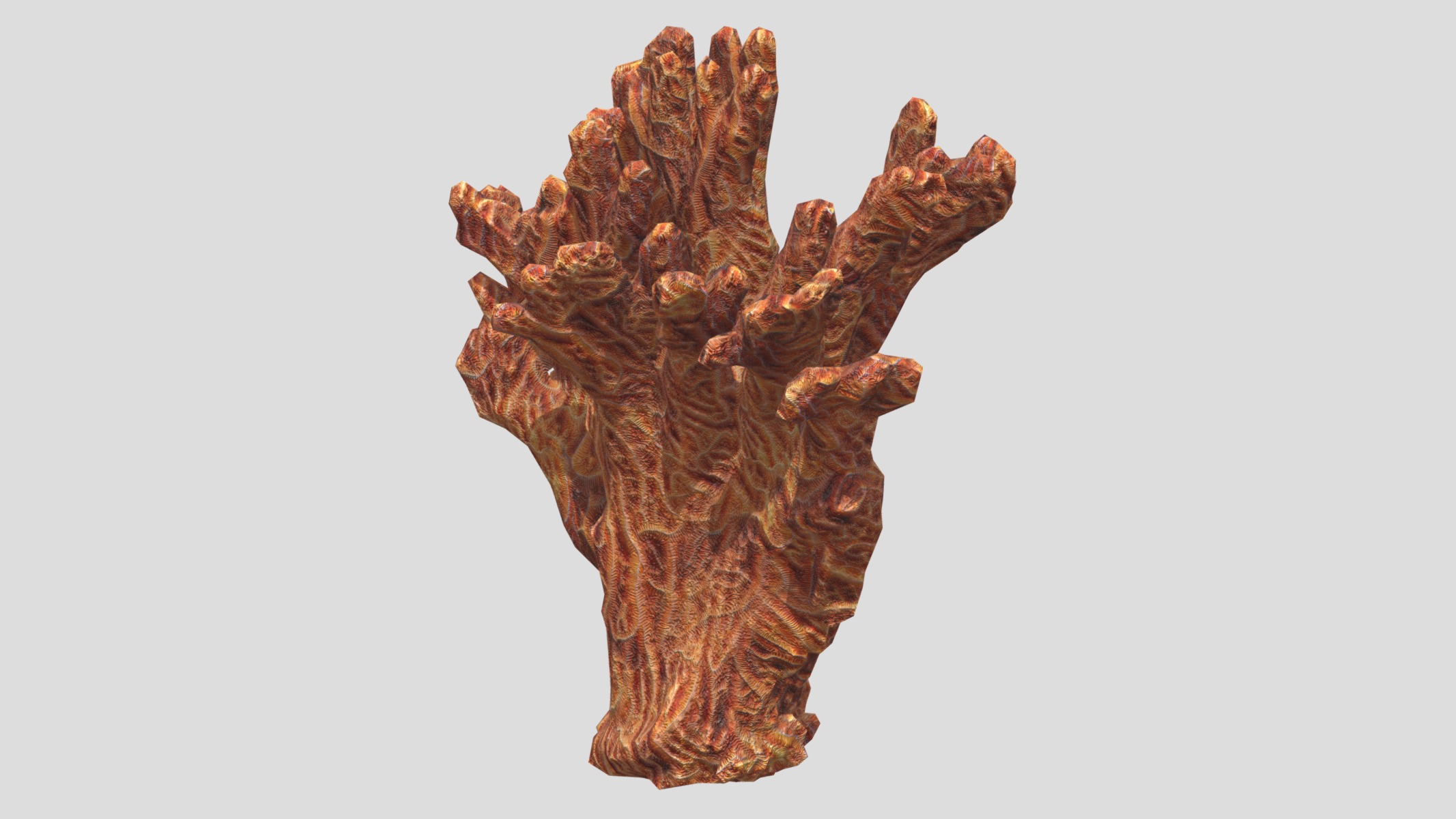 Agaricia agaricites Low Poly Low-poly 3D model_2