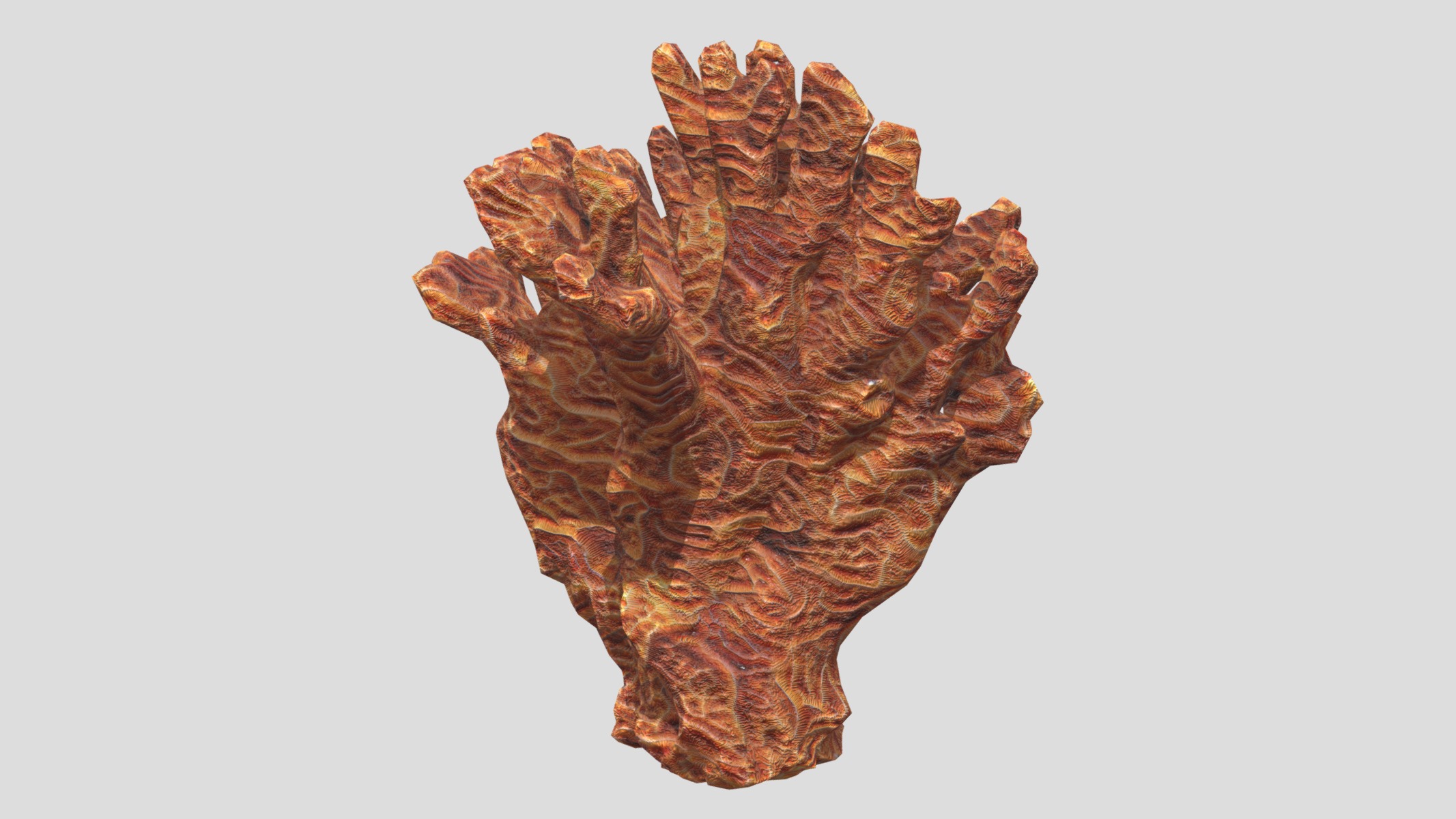 Agaricia agaricites Low Poly Low-poly 3D model_8