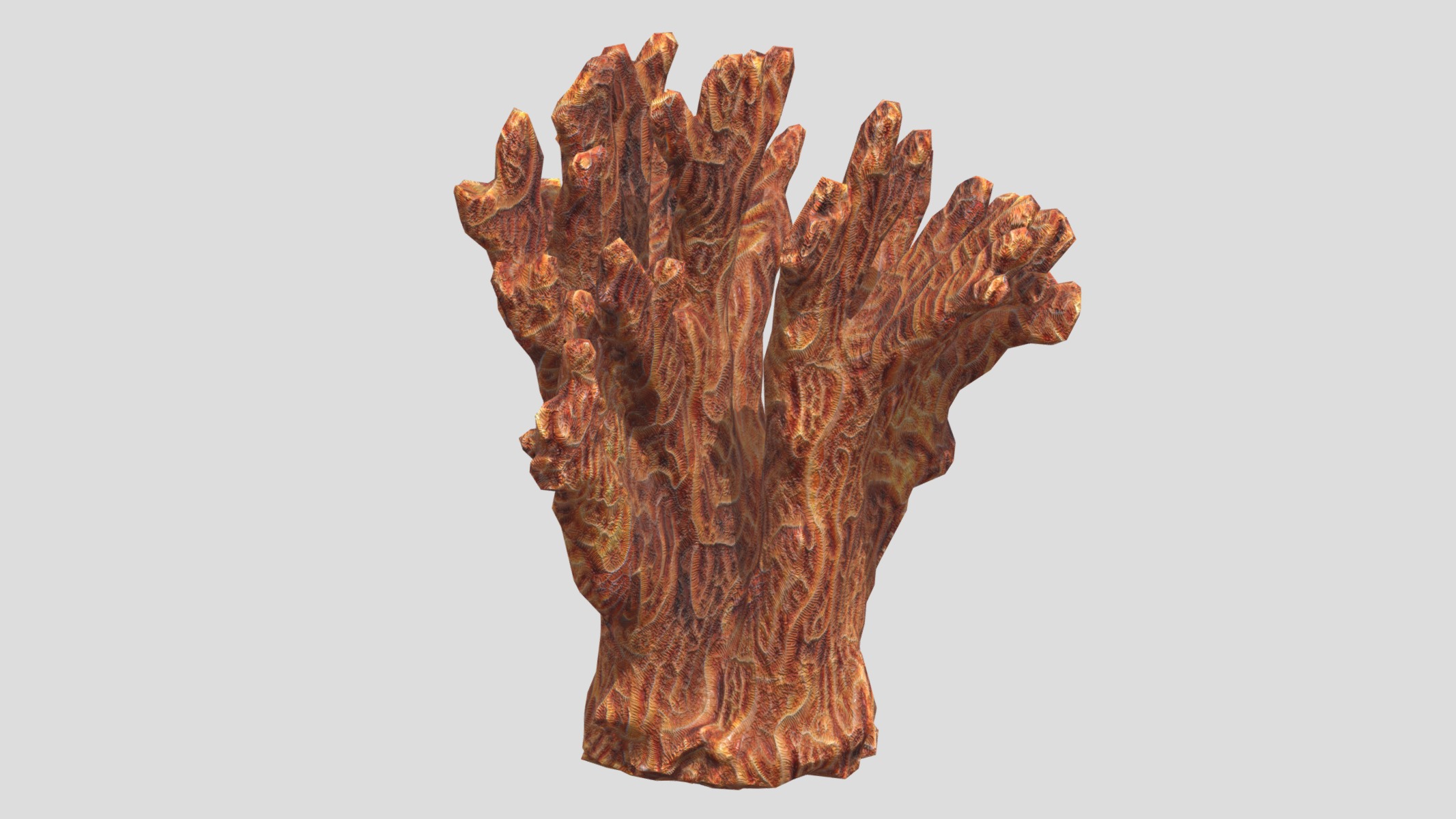 Agaricia agaricites Low Poly Low-poly 3D model_6