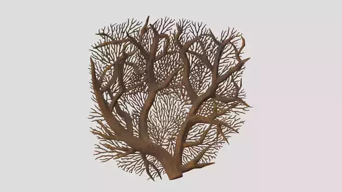 Alcyonacea Coral Low Poly