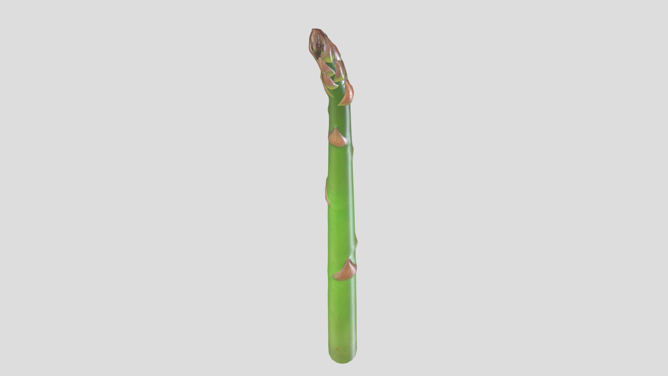 Asparagus Low Poly  Low-poly 3D model_8