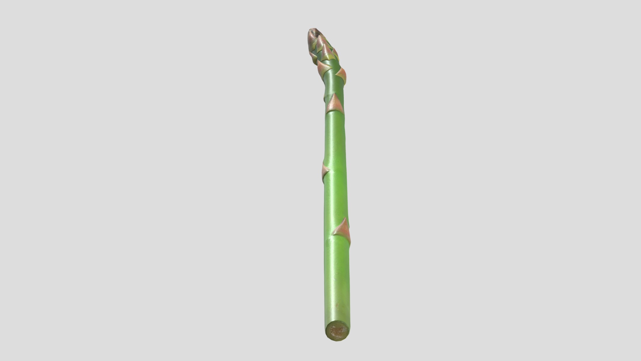 Asparagus Low Poly  Low-poly 3D model_10