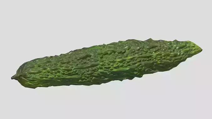Bitter Gourd Low Poly Low-poly 3D model
