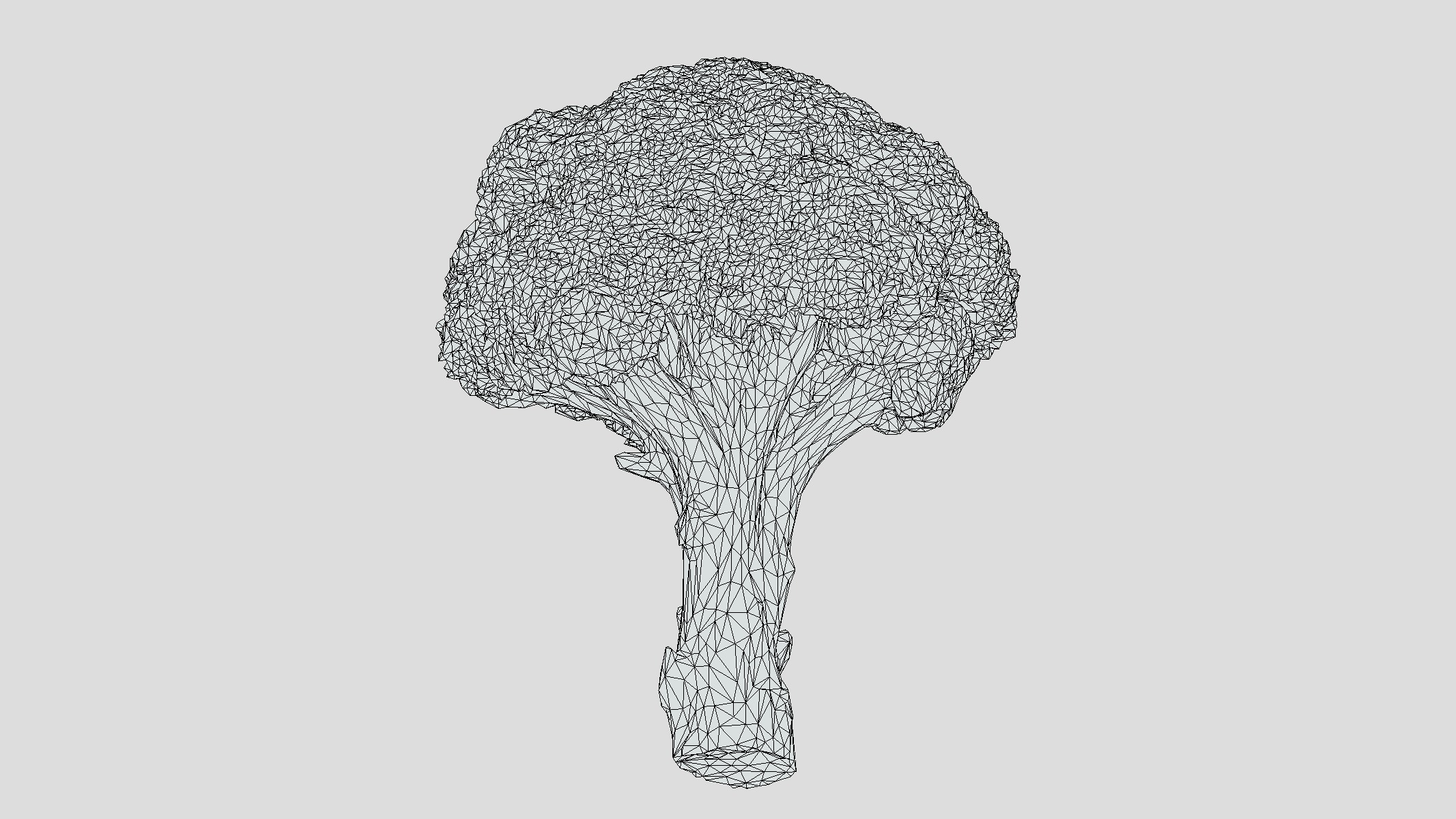 Broccoli Low Poly Low-poly 3D model_11