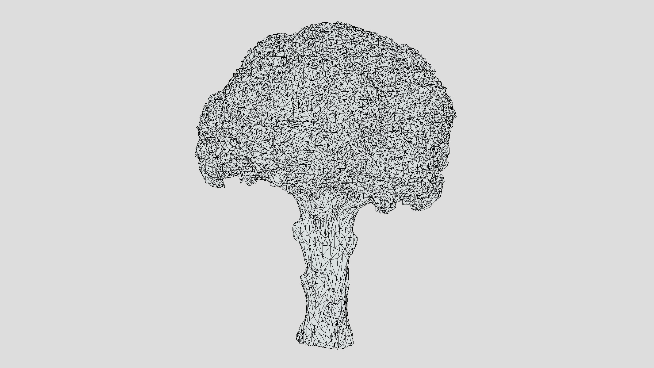 Broccoli Low Poly Low-poly 3D model_6