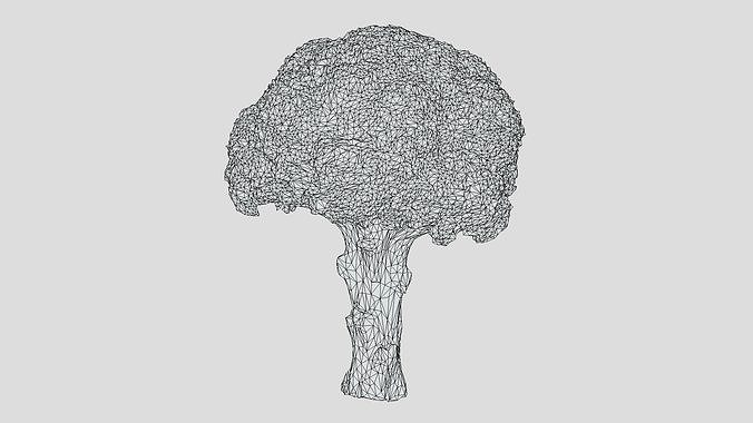 Broccoli Low Poly Low-poly 3D model 7